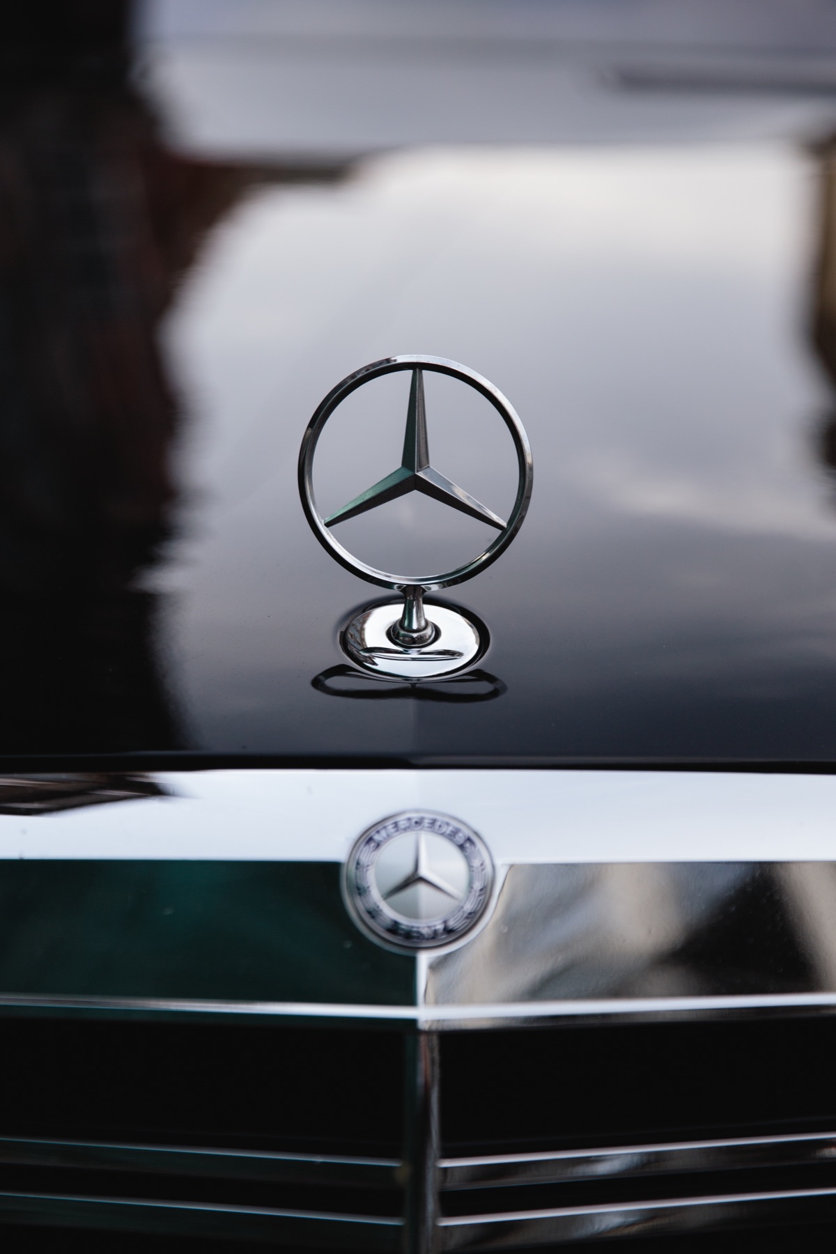 VIP vale hizmeti için Mercedes kaput logosu